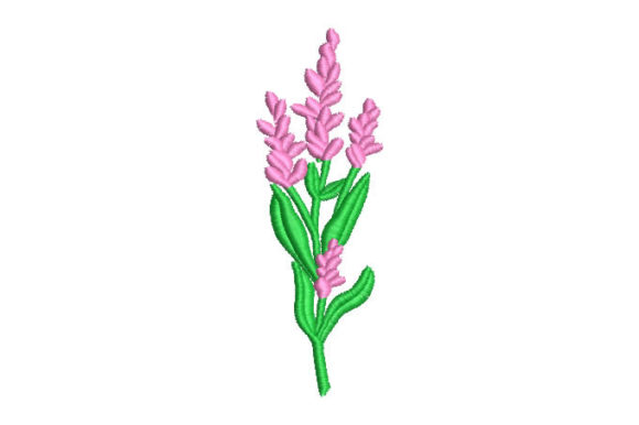 Plants with Fruits: A Designer's Review for Gifts